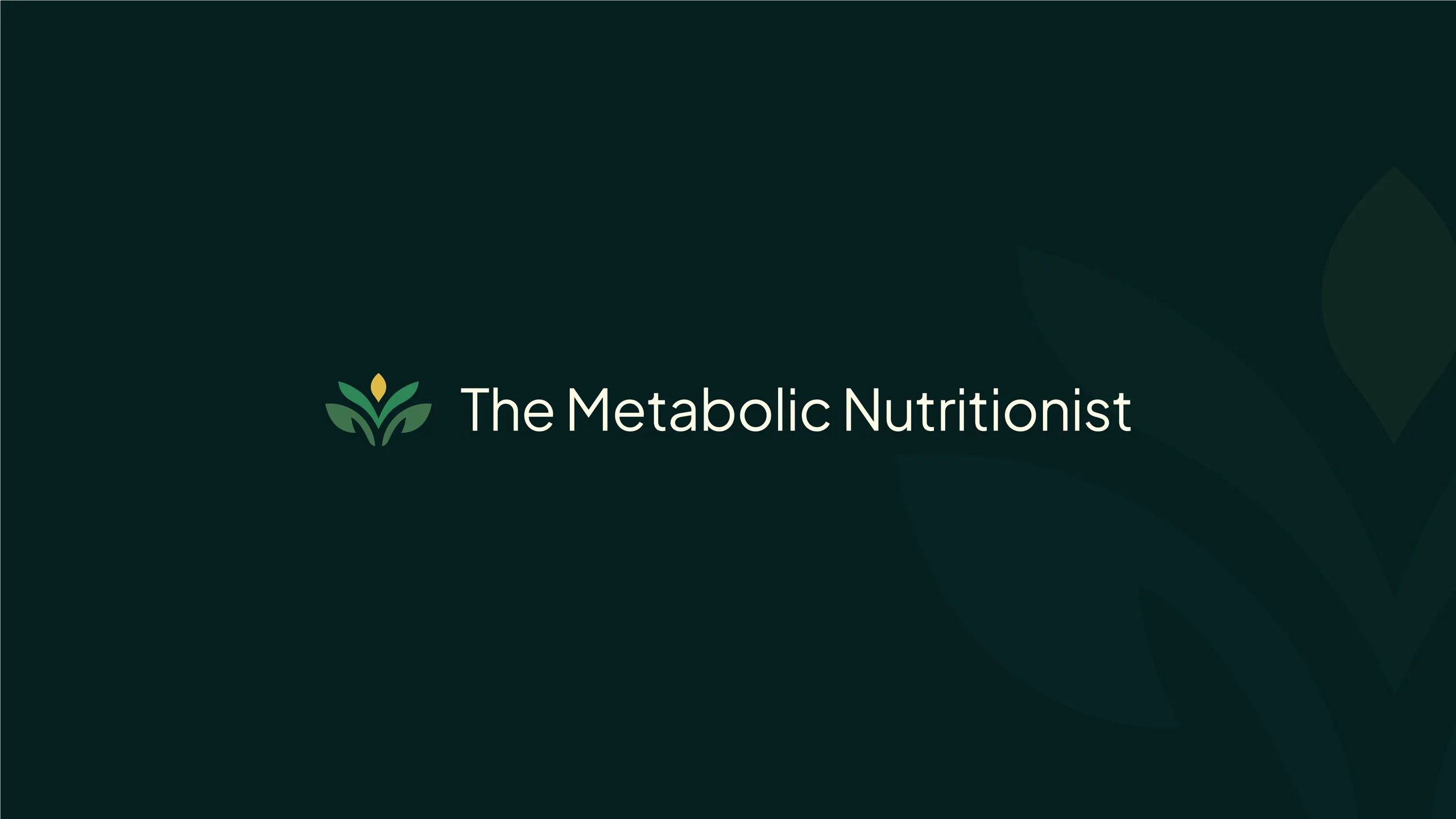 TMN brand identity 1